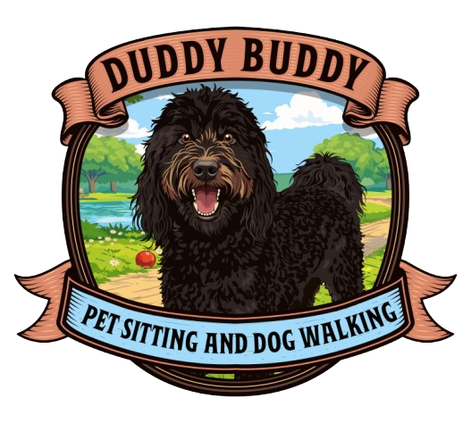 Duddy Buddy Pet Sitting and Dog Walking