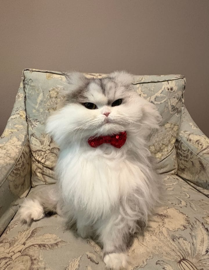 Leo
